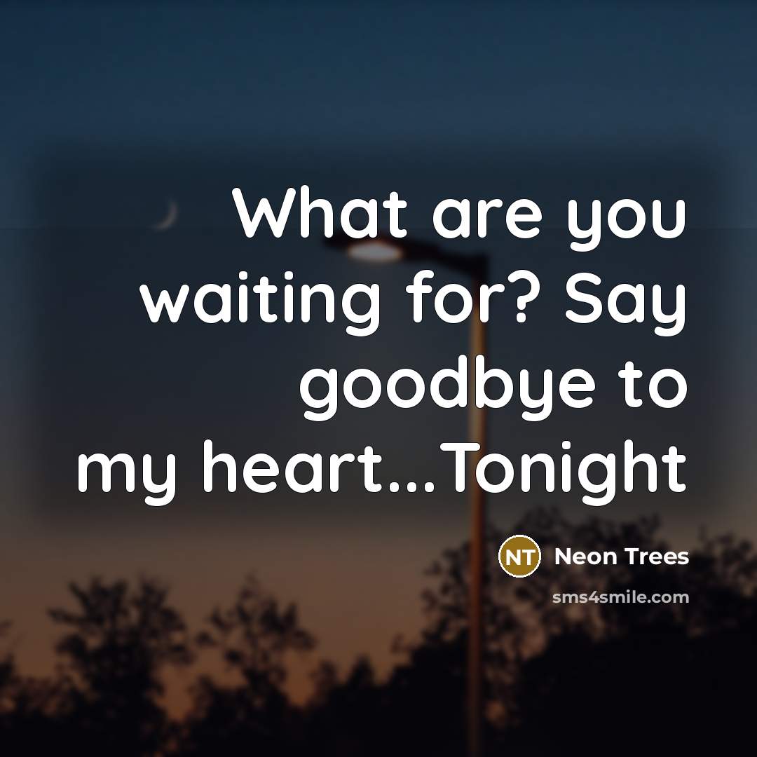 “What are you waiting for? Say goodbye to my heart...Tonight” quote by Neon Trees