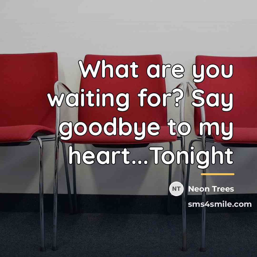 “What are you waiting for? Say goodbye to my heart...Tonight…” quote by Neon Trees