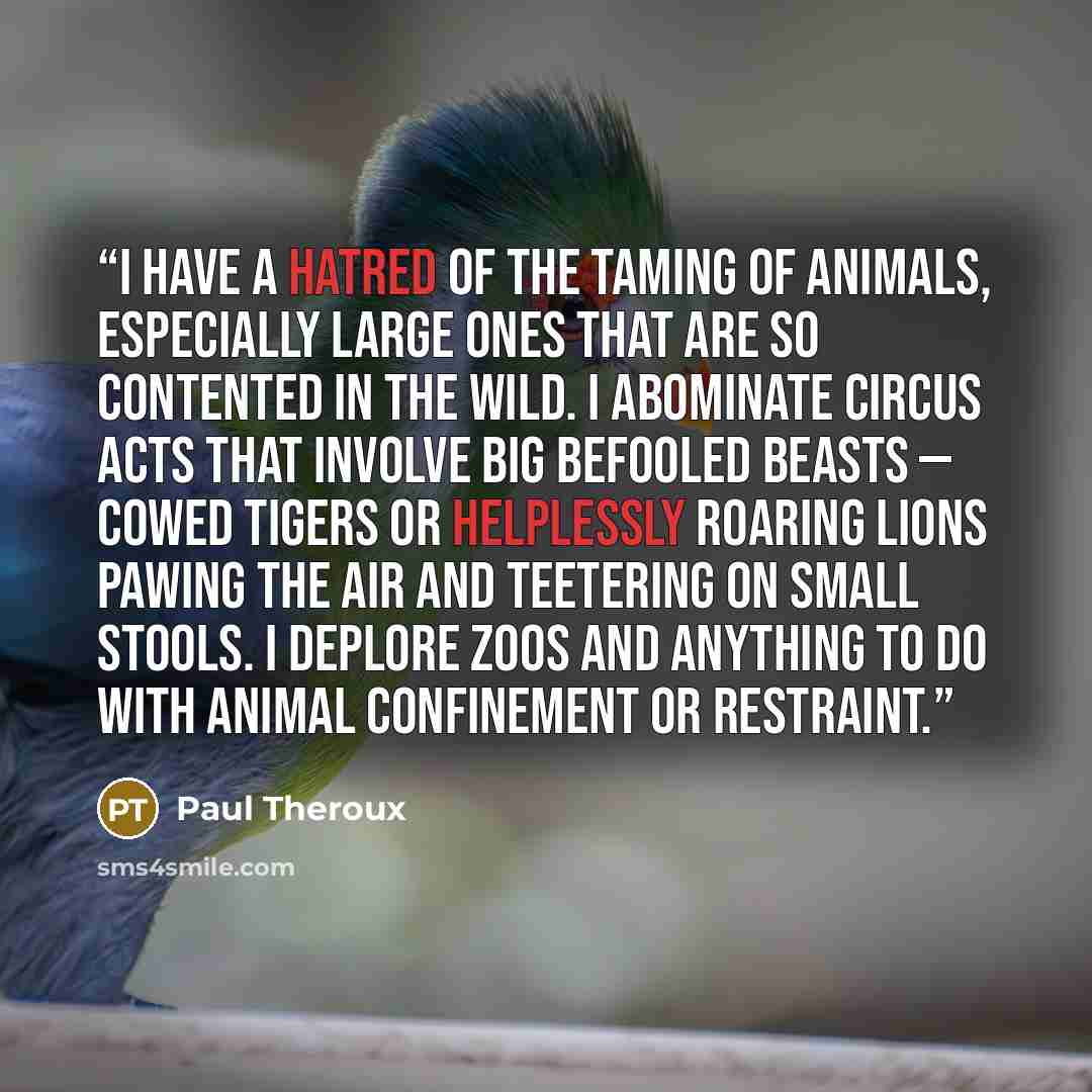 “I have a hatred of the taming of animals, especially large ones that are so contented in the wild. I abominate circus acts that involve big befooled beasts — cowed tigers or helplessly roaring lions pawing the air and teetering on small stools. I deplore zoos and anything to do with animal…” quote by Paul Theroux