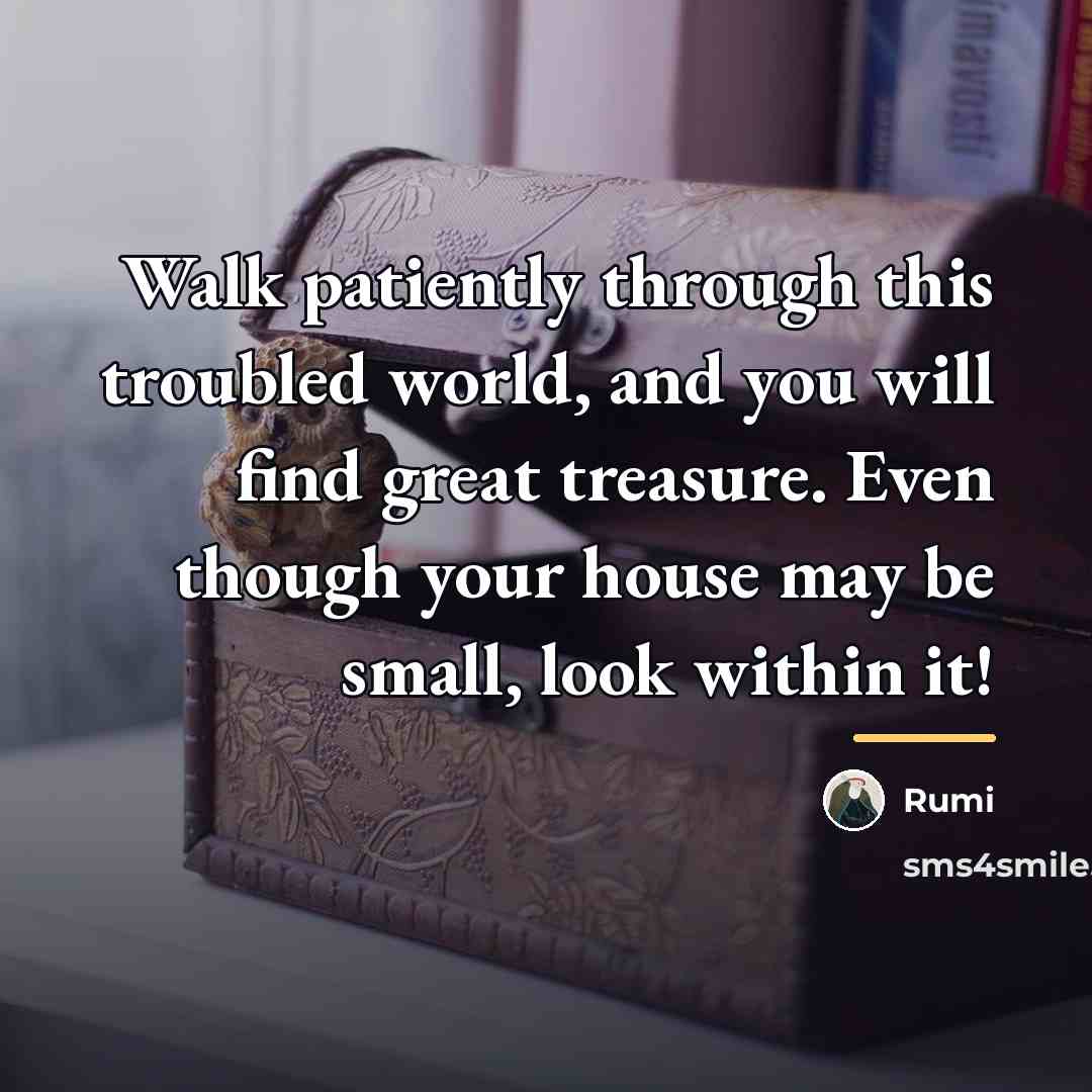“Walk patiently through this troubled world, and you will find…” quote by Rumi