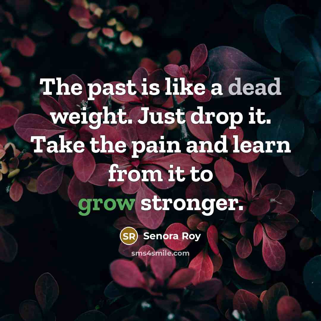 “The past is like a dead weight. Just drop it.…” quote by Senora Roy