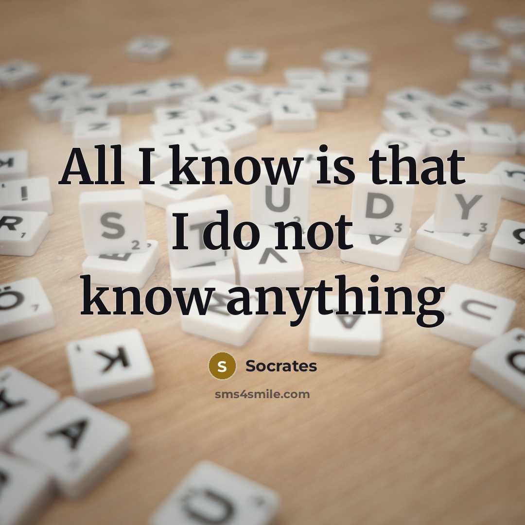 “All I know is that I do not know anything” quote by Socrates