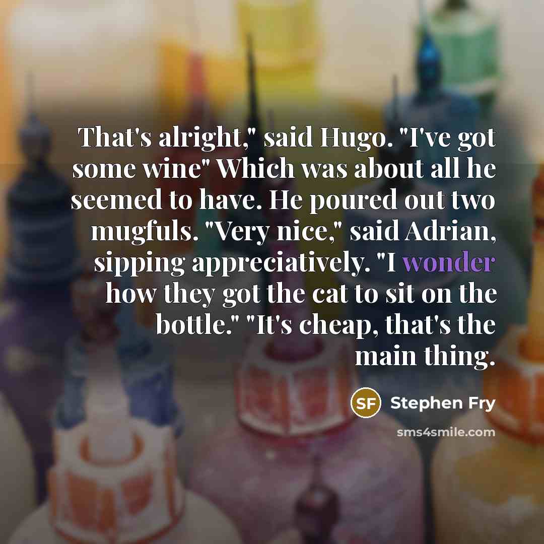“That's alright," said Hugo. "I've got some wine" Which was…” quote by Stephen Fry