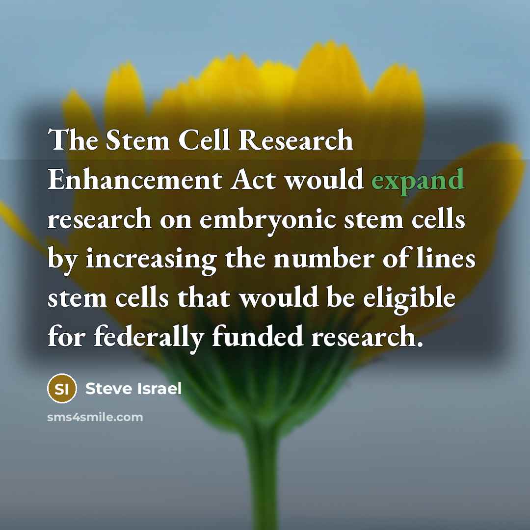 “The Stem Cell Research Enhancement Act would expand research on…” quote by Steve Israel