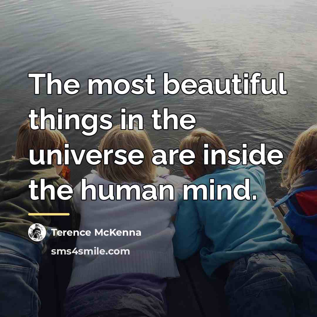 “The most beautiful things in the universe are inside the…” quote by Terence McKenna