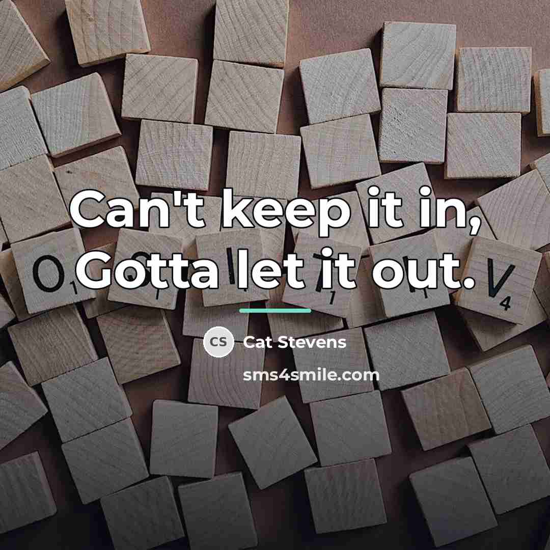 “Can't keep it in, Gotta let it out.…” quote by Cat Stevens