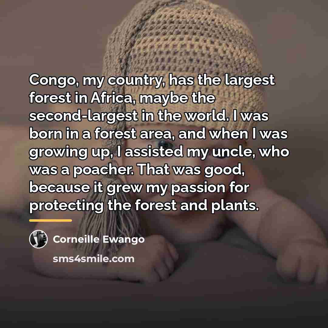 “Congo, my country, has the largest forest in Africa, maybe…” quote by Corneille Ewango
