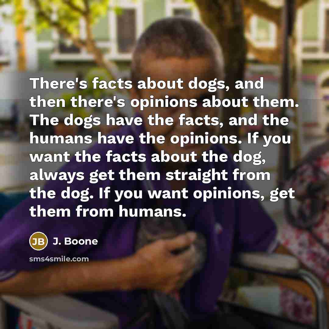 “There's facts about dogs, and then there's opinions about them.…” quote by J. Boone