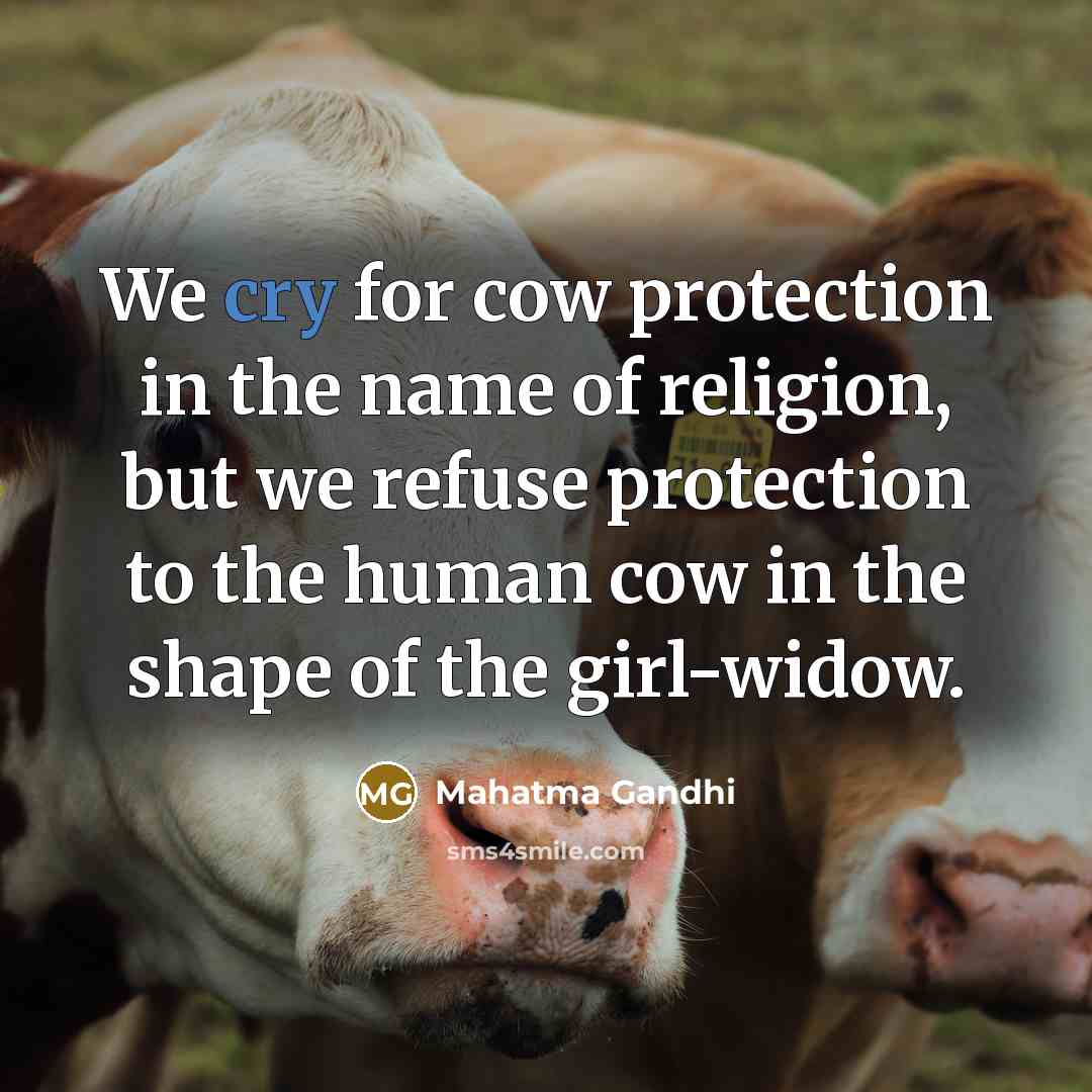 “We cry for cow protection in the name of religion,…” quote by Mahatma Gandhi