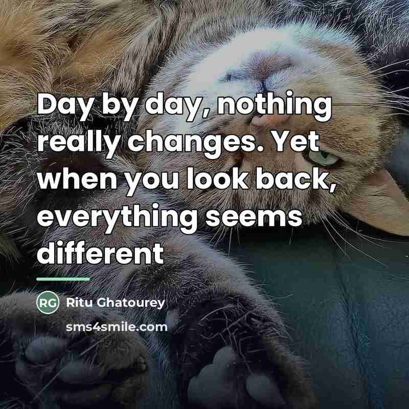 “Day by day, nothing really changes. Yet when you look…” quote by Ritu Ghatourey