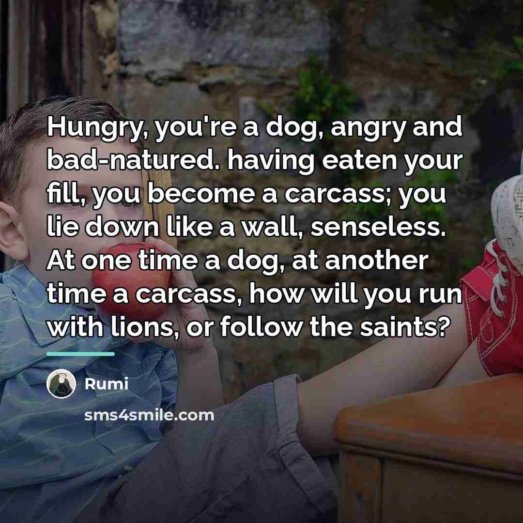 “Hungry, you're a dog, angry and bad-natured. having eaten your…” quote by Rumi