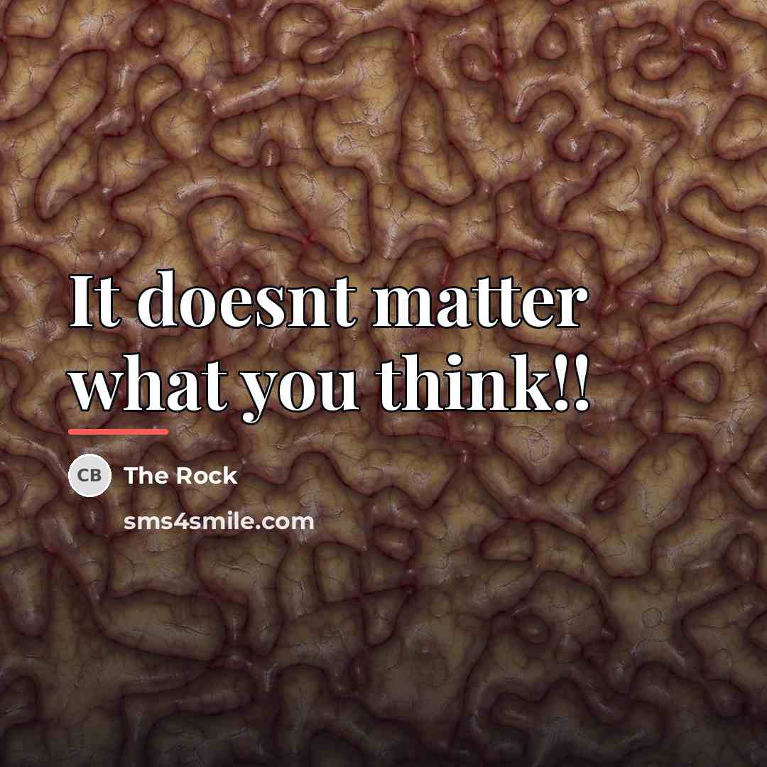 “It doesnt matter what you think!!…” quote by The Rock