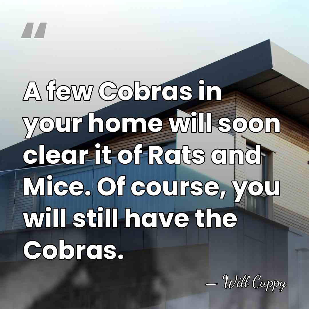 A few Cobras in your home will soon clear it of Rats&hellip; - Will Cuppy
