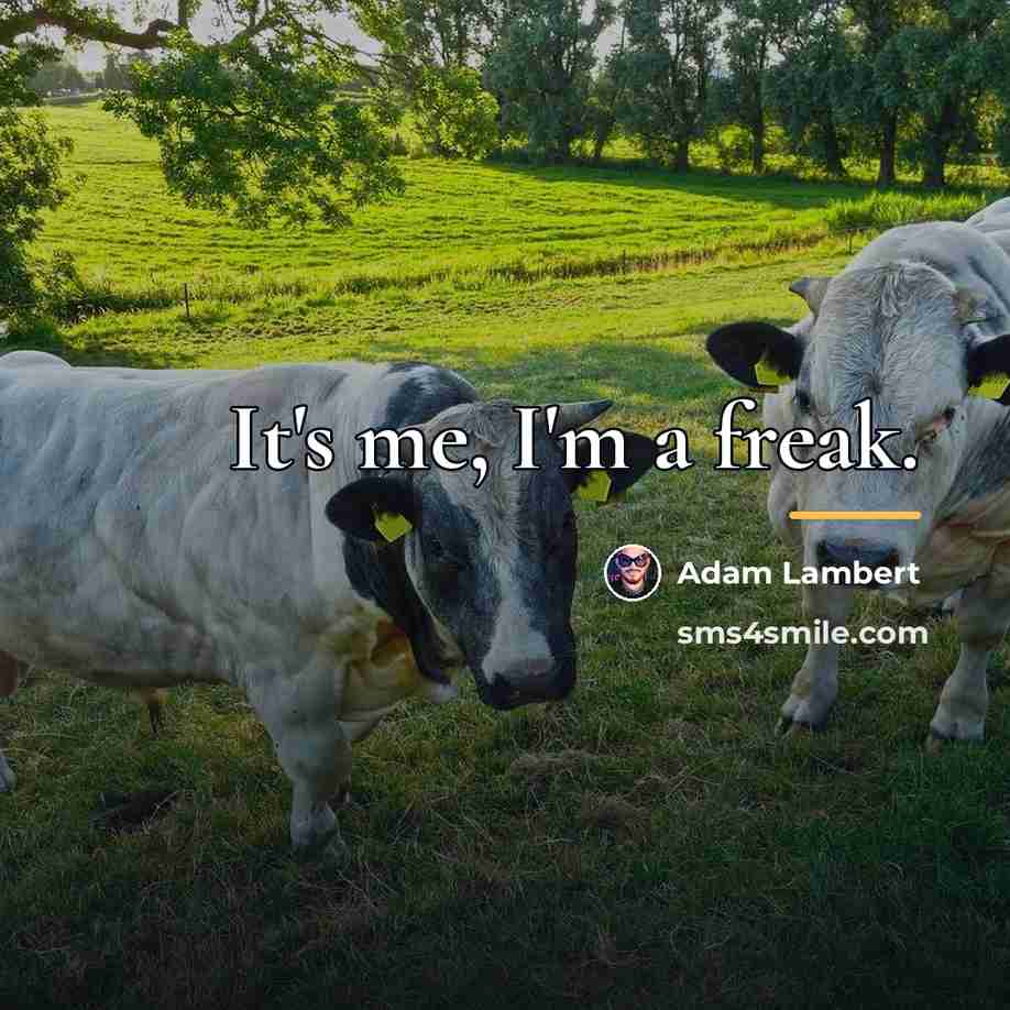 “It's me, I'm a freak.…” quote by Adam Lambert