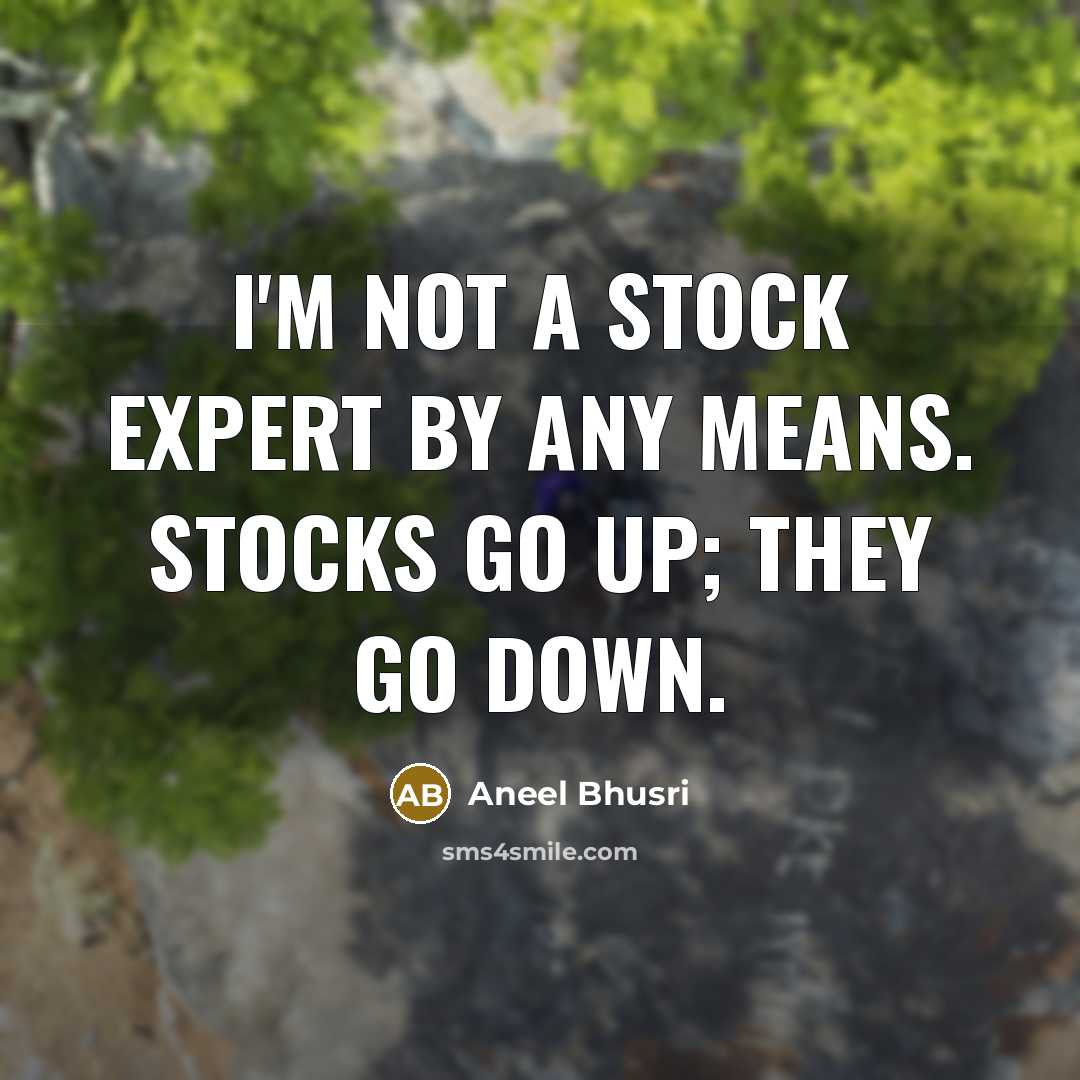 “I'm not a stock expert by any means. Stocks go…” quote by Aneel Bhusri