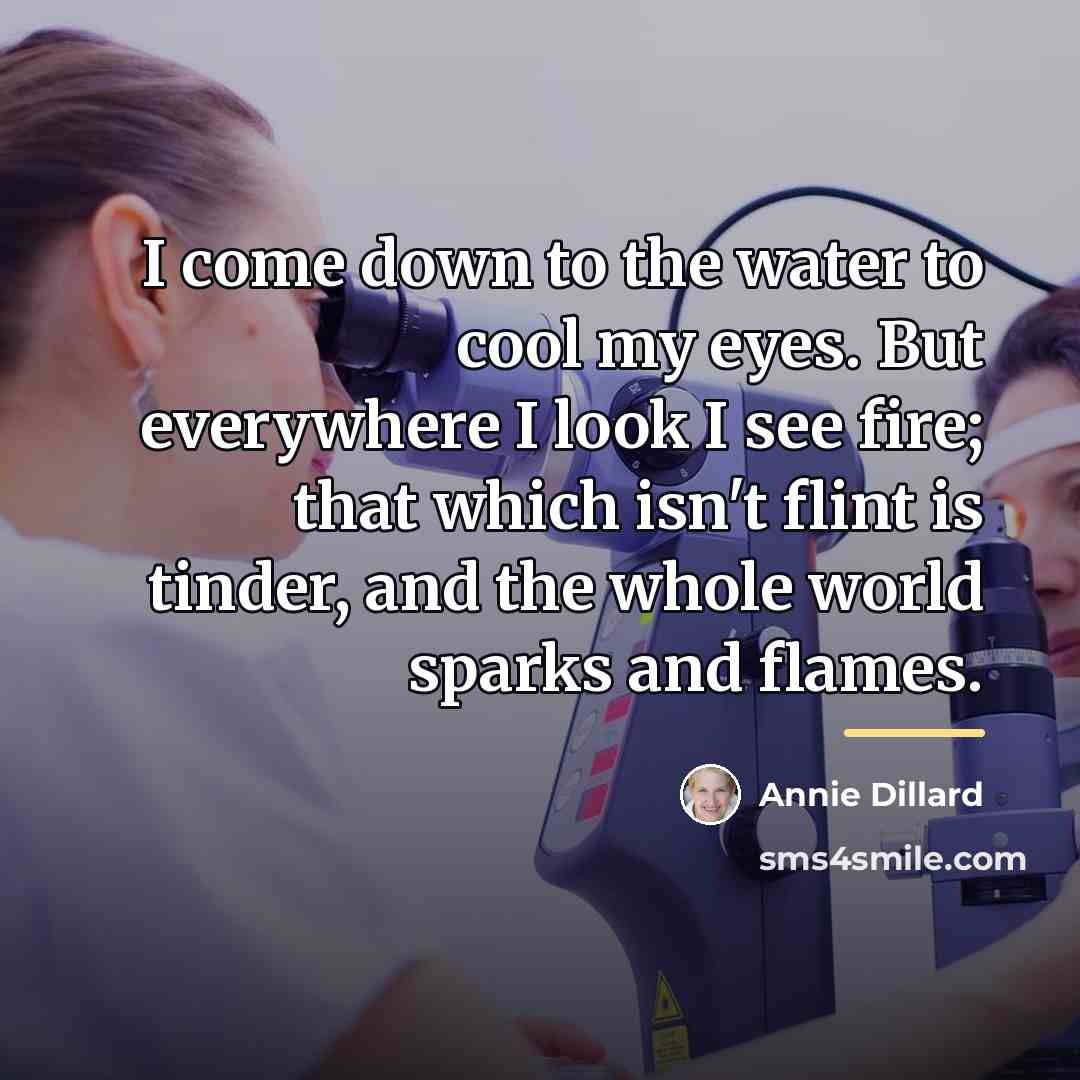 “I come down to the water to cool my eyes.…” quote by Annie Dillard