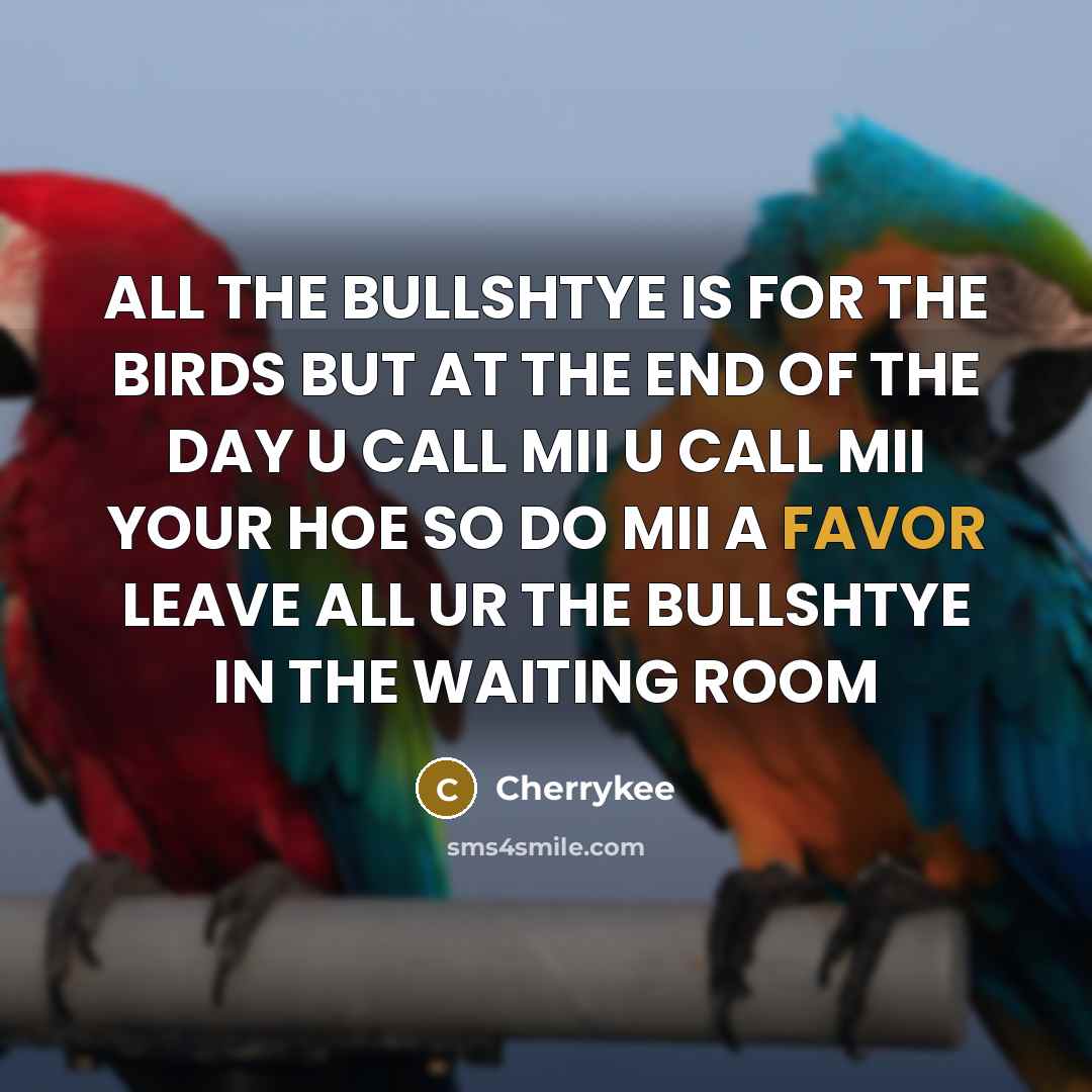 “ALL THE BULLSHTYE IS FOR THE BIRDS BUT AT THE END OF THE DAY U CALL MII U CALL MII YOUR HOE SO DO MII A FAVOR LEAVE ALL UR THE BULLSHTYE IN THE WAITING ROOM” quote by Cherrykee