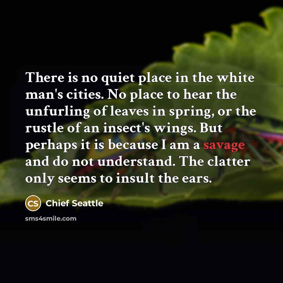 “There is no quiet place in the white man's cities.…” quote by Chief Seattle