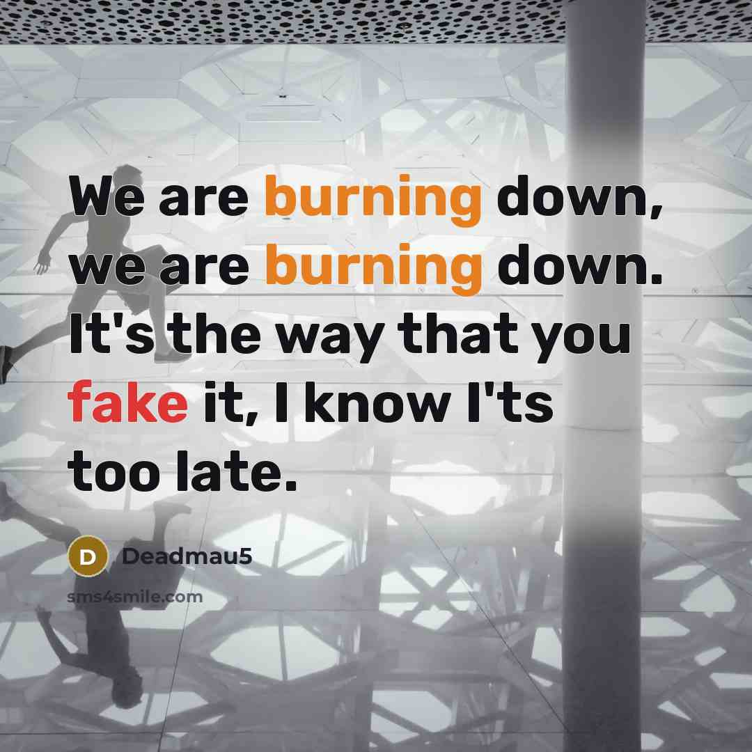 “We are burning down, we are burning down. It's the way that you fake it, I know I'ts too late.” quote by Deadmau5