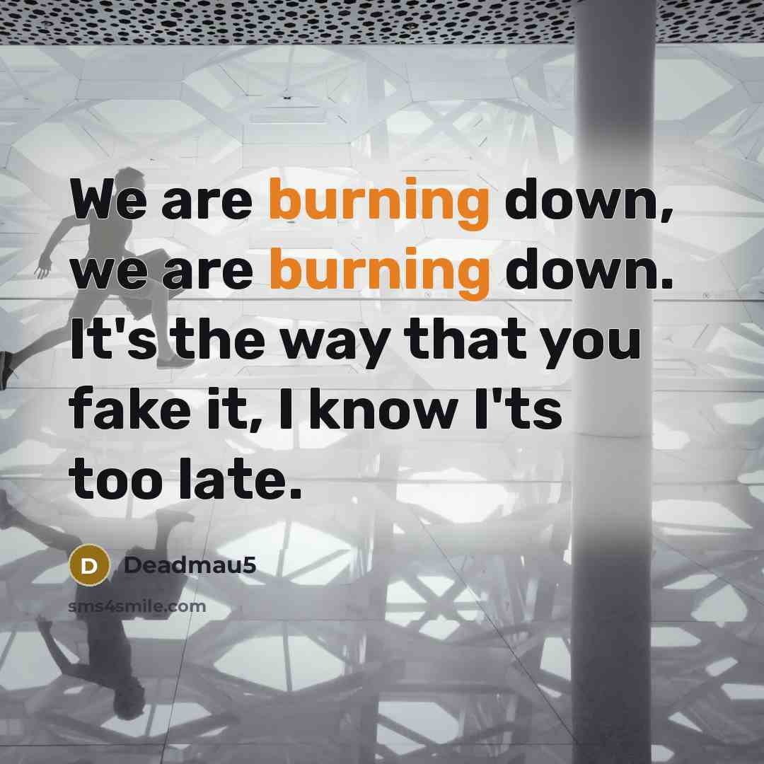 “We are burning down, we are burning down. It's the…” quote by Deadmau5