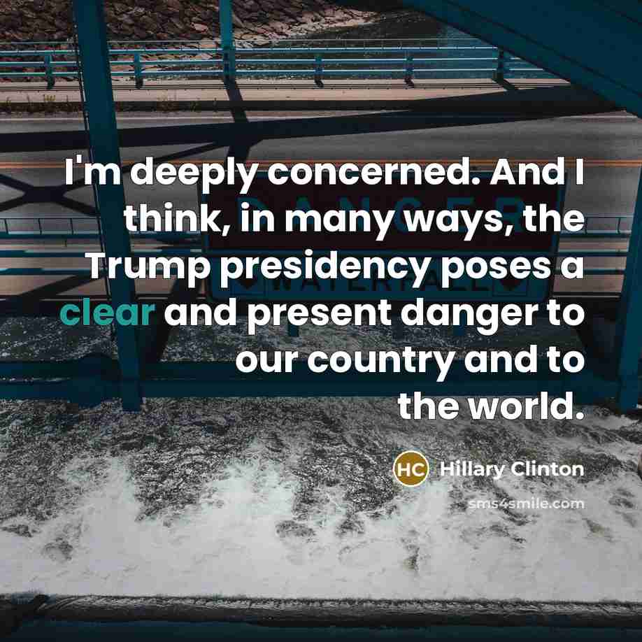 “I'm deeply concerned. And I think, in many ways, the…” quote by Hillary Clinton