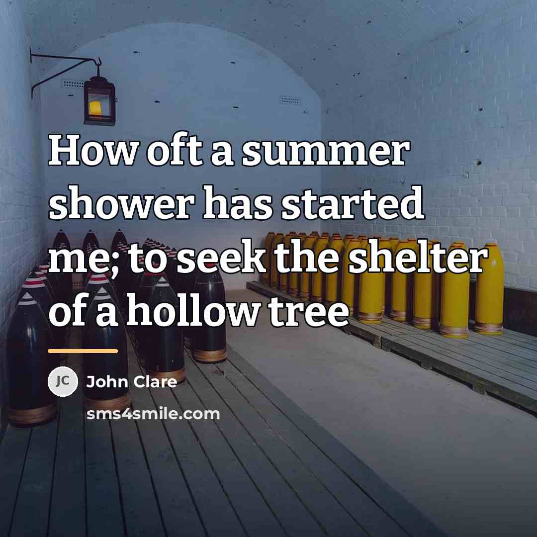 “How oft a summer shower has started me; to seek…” quote by John Clare