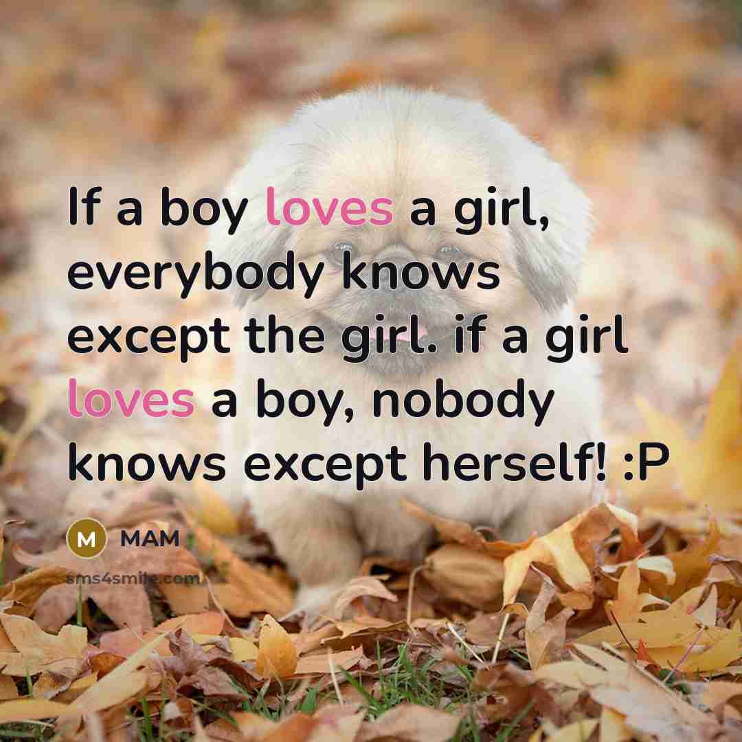 “If a boy loves a girl, everybody knows except the…” quote by MAM