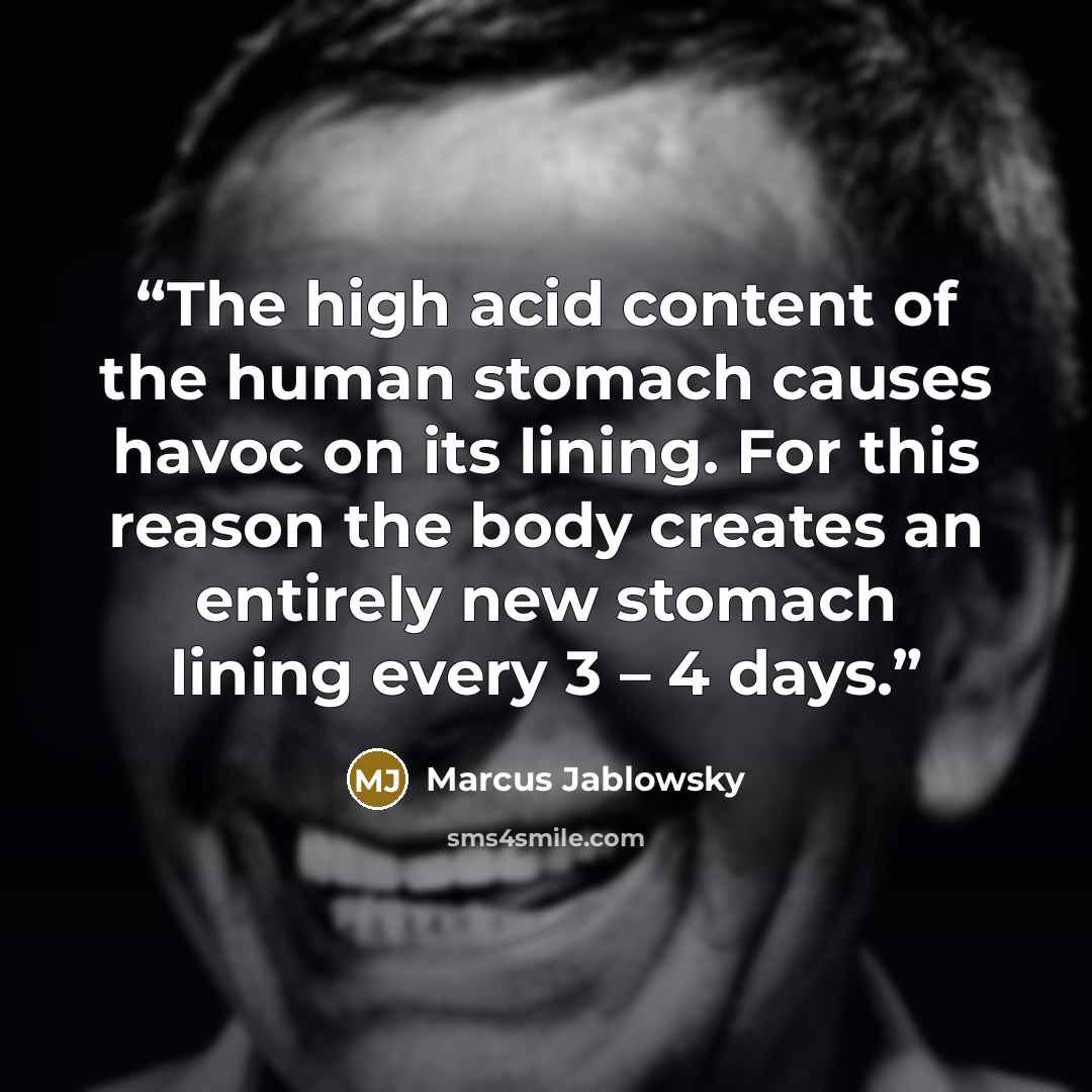 “The high acid content of the human stomach causes havoc on its lining. For this reason the body creates an entirely new stomach lining every 3 – 4 days.” quote by Marcus Jablowsky