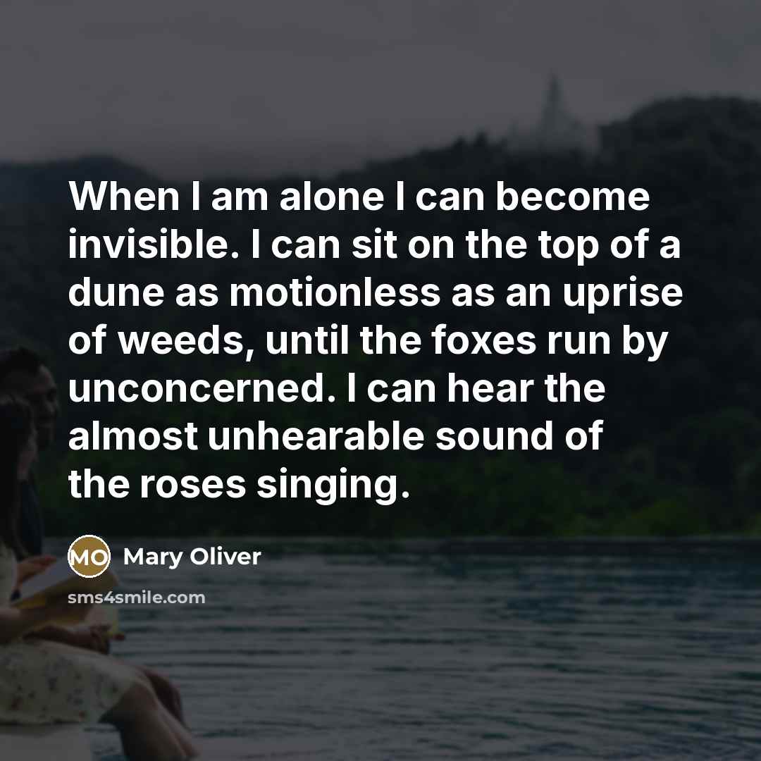 “When I am alone I can become invisible. I can…” quote by Mary Oliver