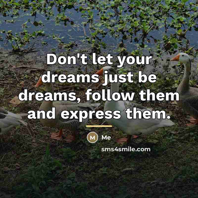 “Don't let your dreams just be dreams, follow them and…” quote by Me