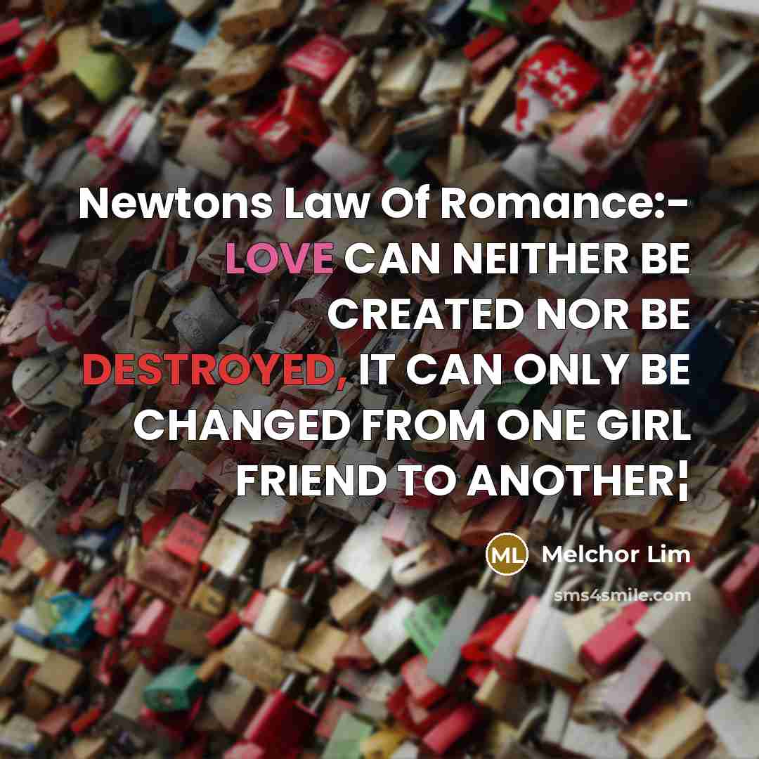 “Newtons Law Of Romance:- LOVE CAN NEITHER BE CREATED NOR…” quote by Melchor Lim