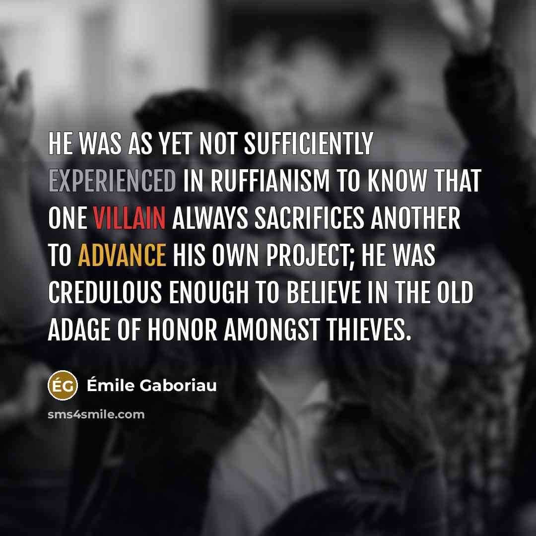 “He was as yet not sufficiently experienced in ruffianism to…” quote by Emile Gaboriau