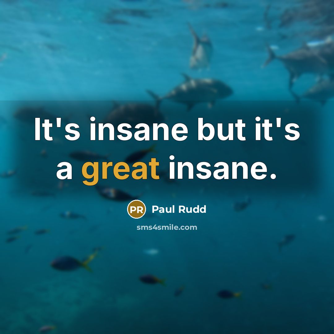 “It's insane but it's a great insane.…” quote by Paul Rudd