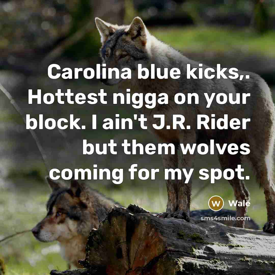 “Carolina blue kicks,. Hottest nigga on your block. I ain't J.R. Rider but them wolves coming for my spot.” quote by Wale