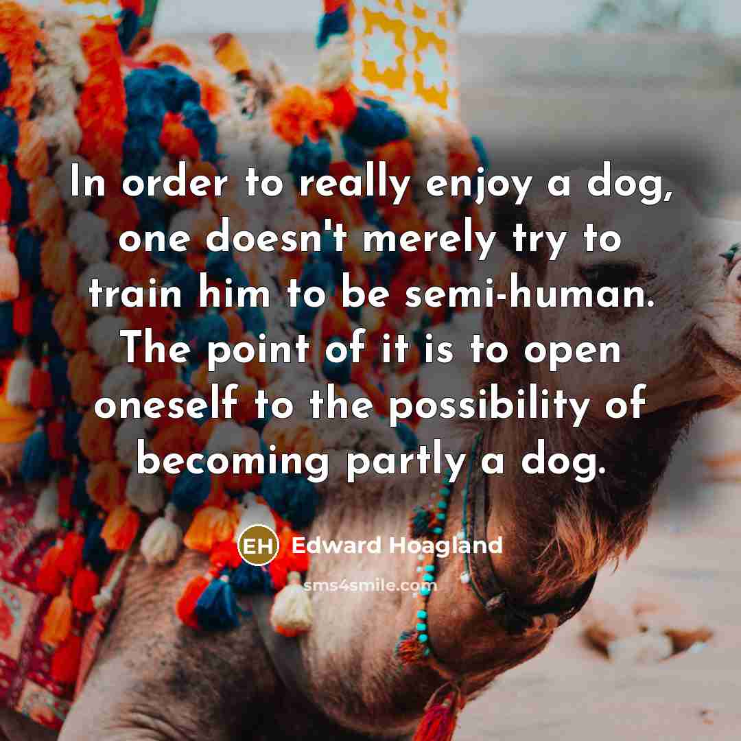 “In order to really enjoy a dog, one doesn't merely try to train him to be semi-human. The point of it is to open oneself to the possibility of becoming partly a dog.” quote by Edward Hoagland
