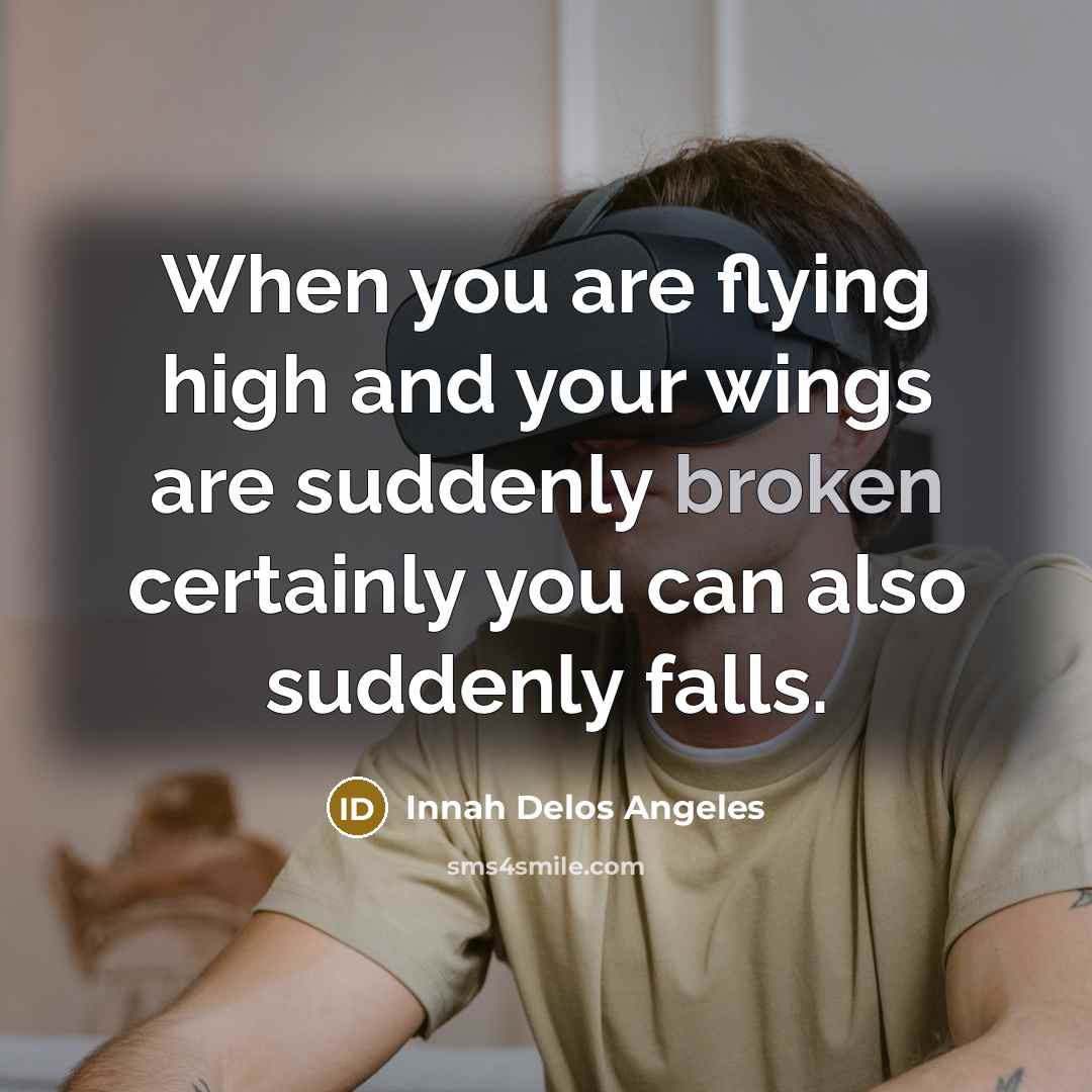 “When you are flying high and your wings are suddenly broken certainly you can also suddenly falls.” quote by Innah Delos Angeles