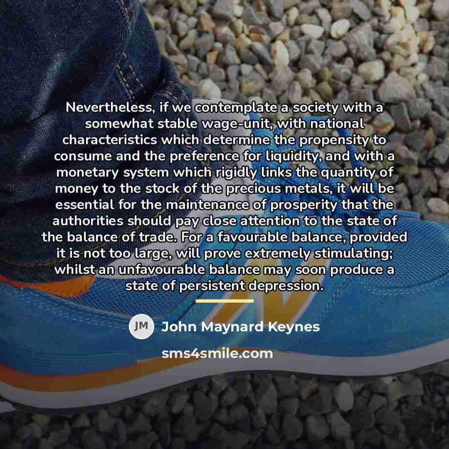 “Nevertheless, if we contemplate a society with a somewhat stable…” quote by John Maynard Keynes