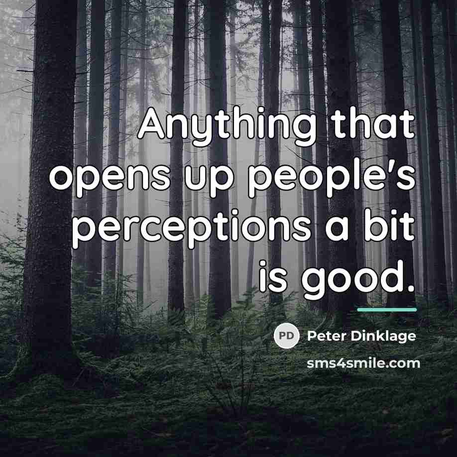 “Anything that opens up people's perceptions a bit is good.…” quote by Peter Dinklage