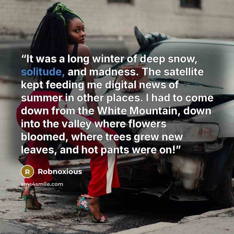 “It was a long winter of deep snow, solitude, and madness. The satellite kept feeding me digital news of summer in other places. I had to come down from the White Mountain, down into the valley where flowers bloomed, where trees grew new leaves, and hot pants were on!” quote by Robnoxious