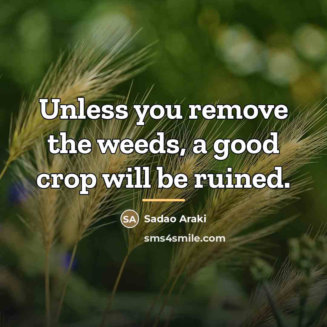 “Unless you remove the weeds, a good crop will be…” quote by Sadao Araki