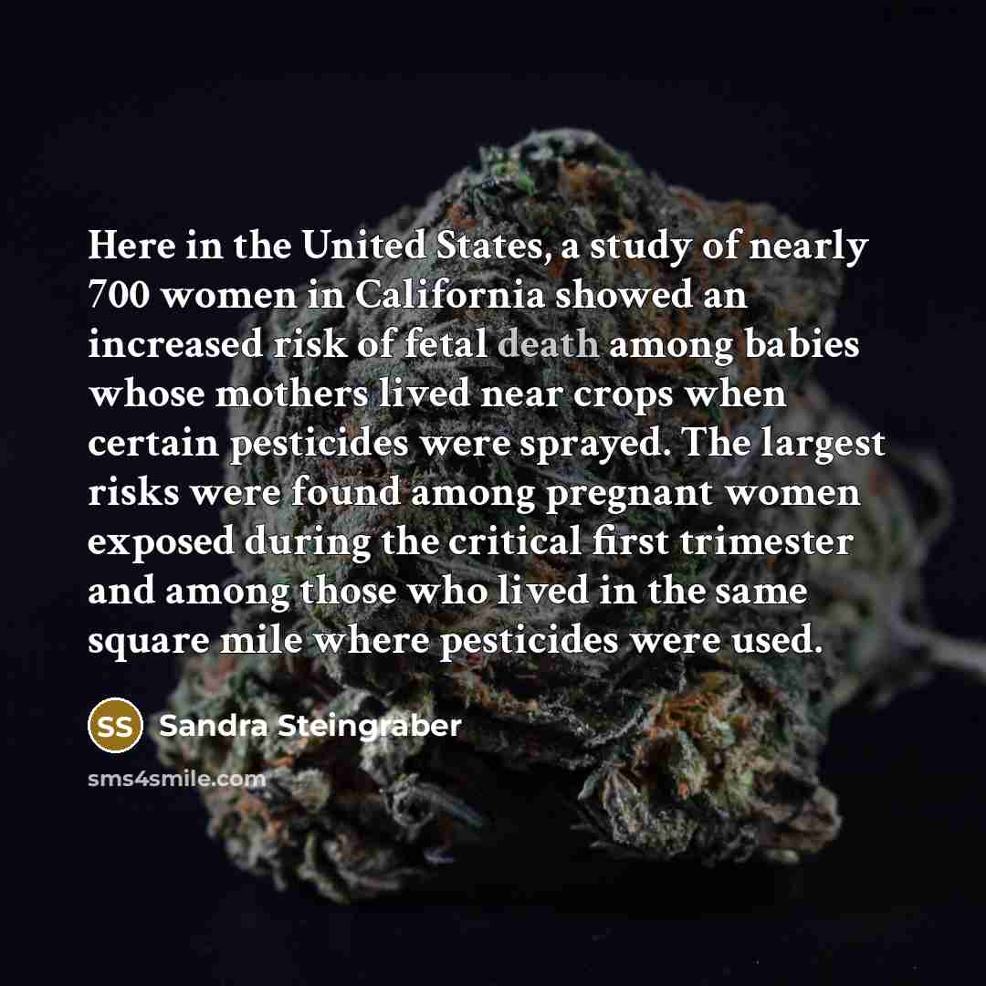 “Here in the United States, a study of nearly 700…” quote by Sandra Steingraber