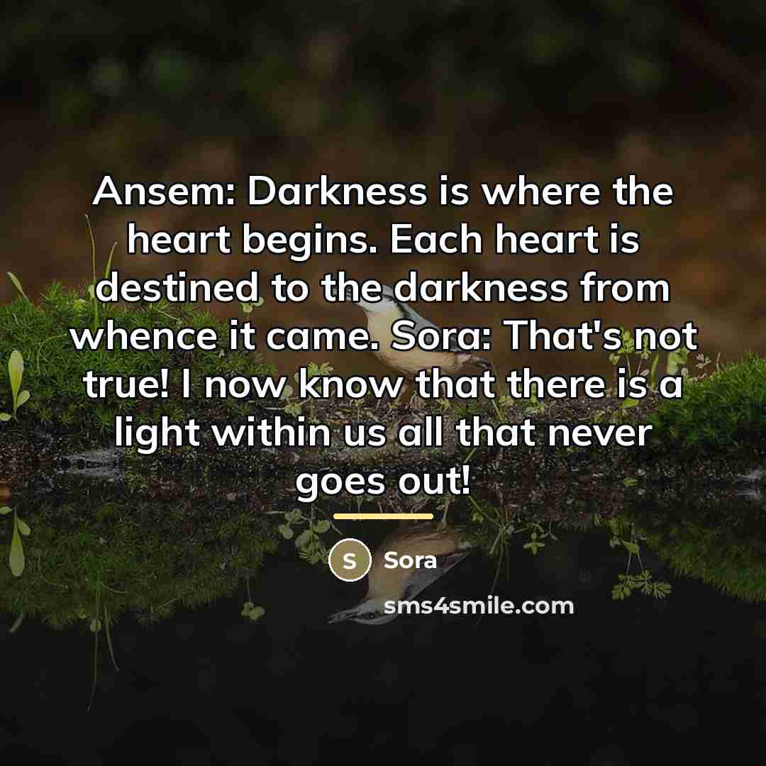 “Ansem: Darkness is where the heart begins. Each heart is…” quote by Sora