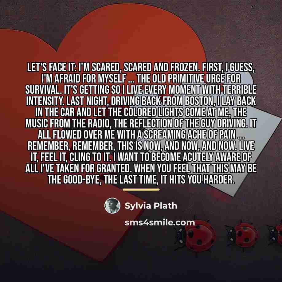 “Let's face it: I'm scared, scared and frozen. First, I…” quote by Sylvia Plath