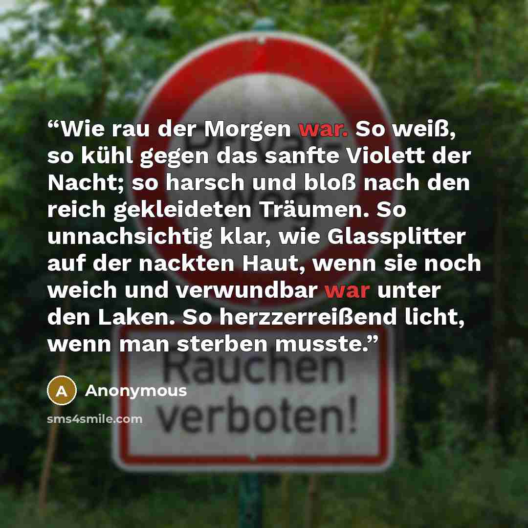 “Wie rau der Morgen war. So weiß, so kühl gegen das sanfte Violett der Nacht; so harsch und bloß nach den reich gekleideten Träumen. So unnachsichtig klar, wie Glassplitter auf der nackten Haut, wenn sie noch weich und verwundbar war unter den Laken. So herzzerreißend licht, wenn man sterben musste.” quote by Anonymous