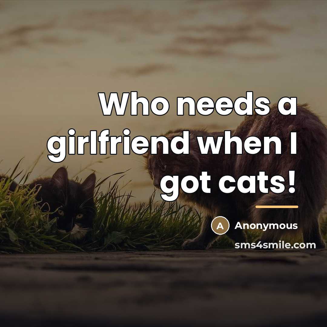 “Who needs a girlfriend when I got cats!…” quote by Anonymous