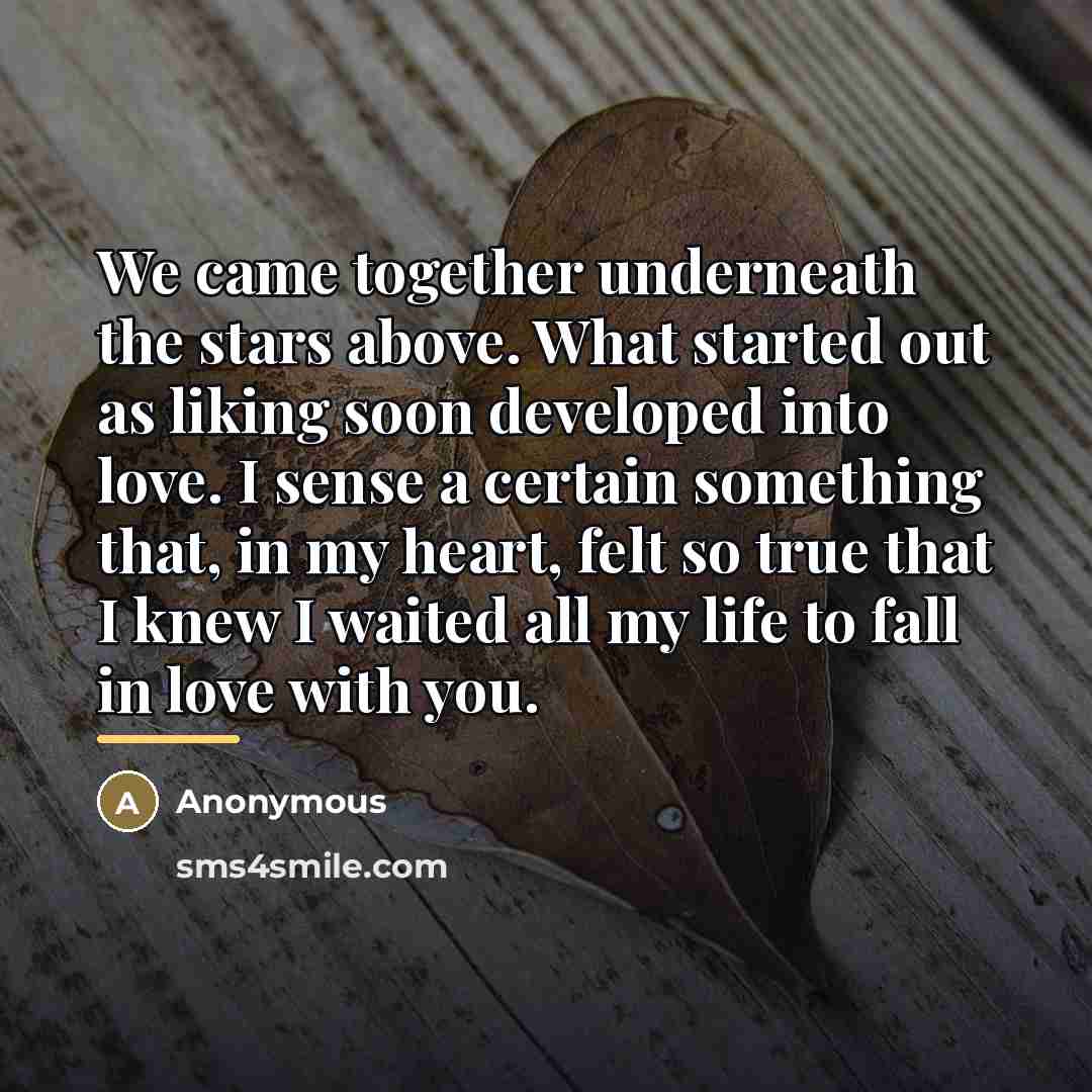“We came together underneath the stars above. What started out…” quote by Anonymous