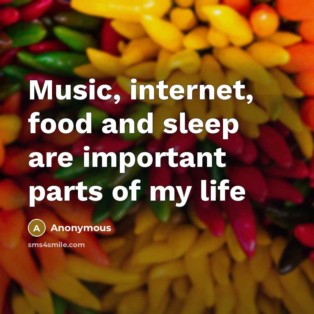 “Music, internet, food and sleep are important parts of my…” quote by Anonymous