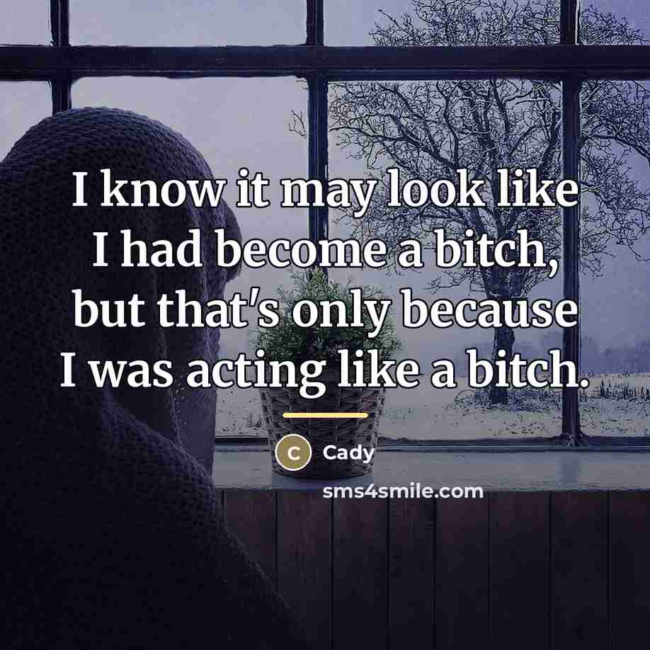 “I know it may look like I had become a…” quote by Cady