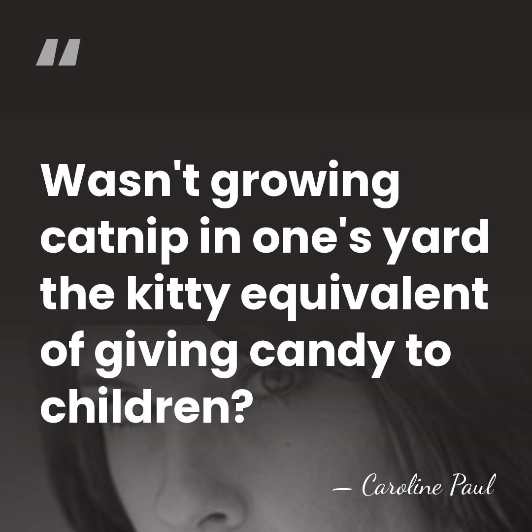 Wasn't growing catnip in one's yard the kitty equivalent of giving candy&hellip; - Caroline Paul