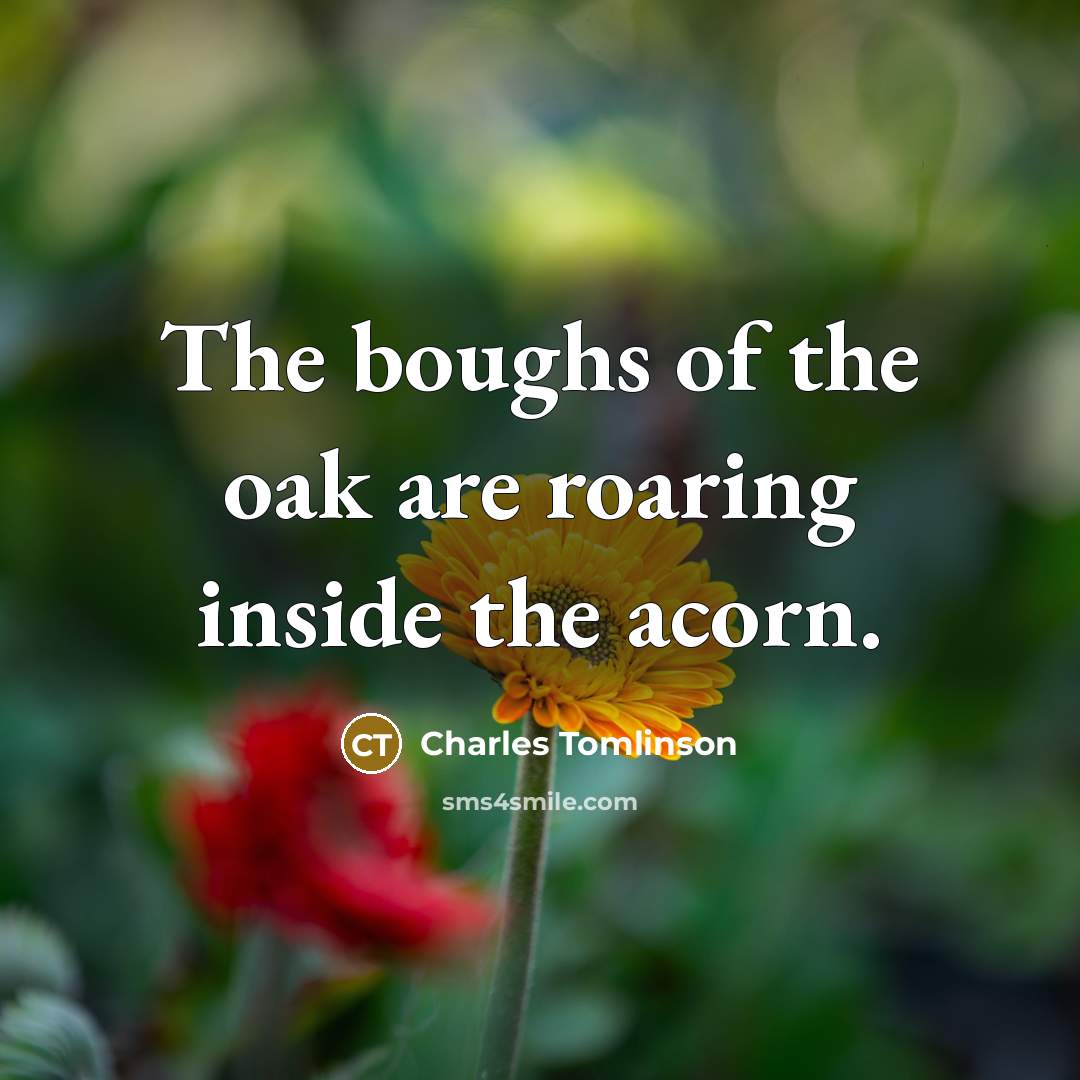 “The boughs of the oak are roaring inside the acorn.…” quote by Charles Tomlinson